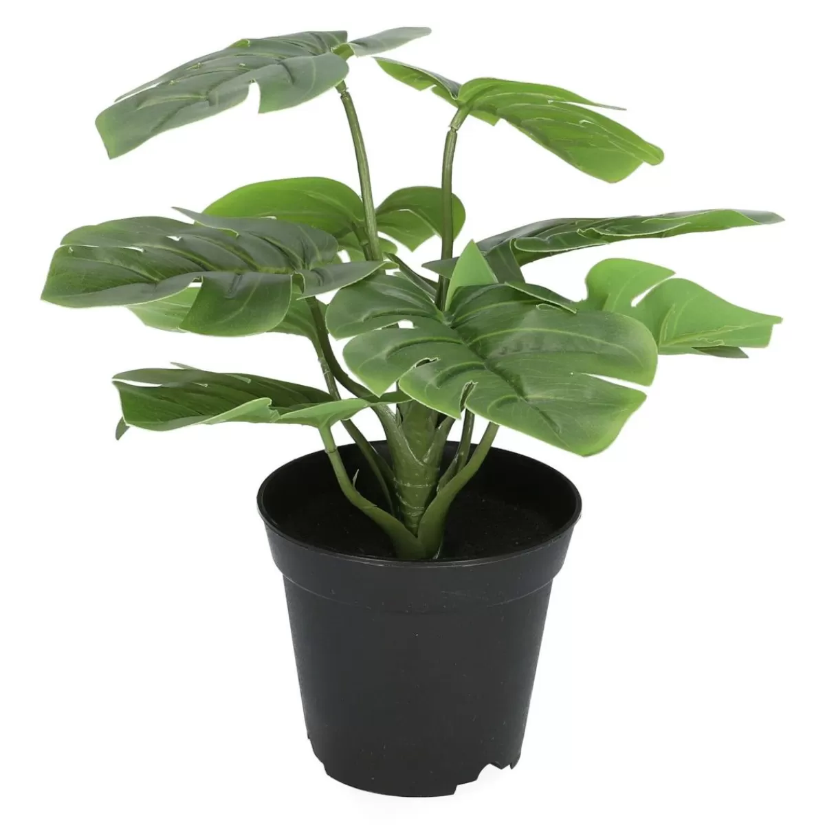 Shop Roslina Monstera Sztuczna 29 Cm Sztuczne Kwiaty I Rośliny